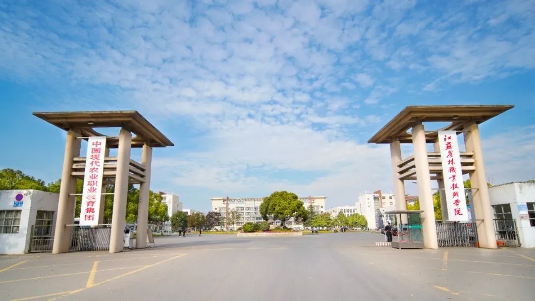 未畢業(yè)就定崗，一畢業(yè)就任教大學……這所職校的學生緣何這么牛？
