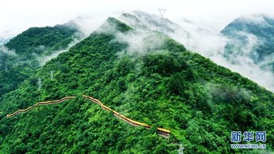 顆粒歸倉(cāng)！各地開展“雙搶”打贏秋收“攻堅(jiān)戰(zhàn)”