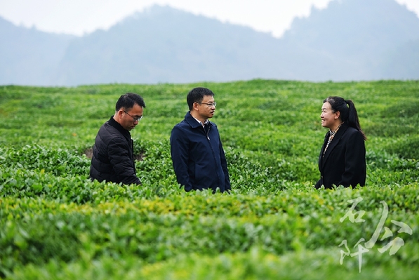 躬身為橋 緊盯供需連接山海 ——記廣東省粵黔協(xié)作工作隊(duì)銅仁工作組石阡小組組長，石阡縣委常委、副縣長李浩泉