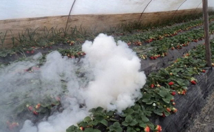 沿用近50年的傳統(tǒng)引火線咋就突然成了爆炸物？